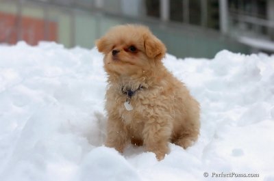 Feb3_08_259.JPG