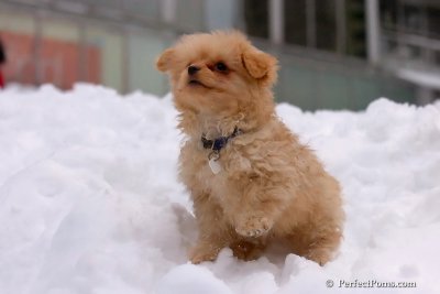 Feb3_08_261.jpg