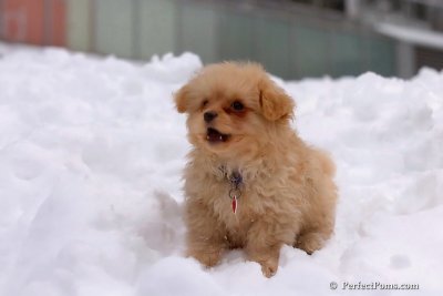 Feb3_08_262.jpg