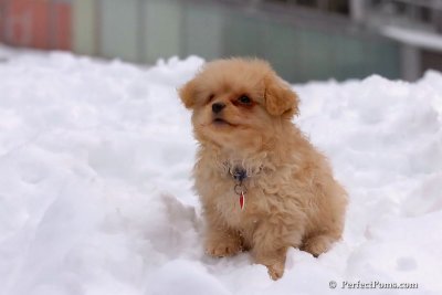 Feb3_08_263.jpg
