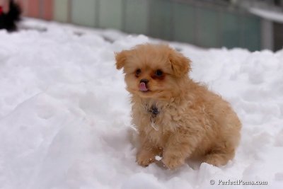 Feb3_08_268.jpg