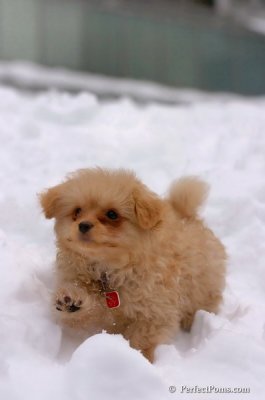 Feb3_08_272.JPG