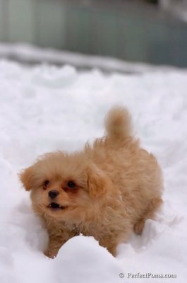 Feb3_08_273.JPG