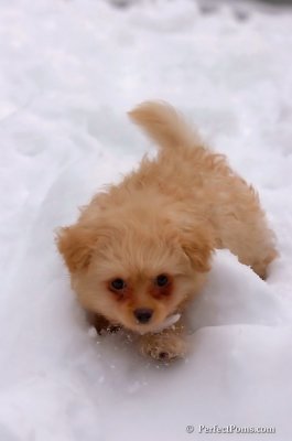 Feb3_08_274.JPG