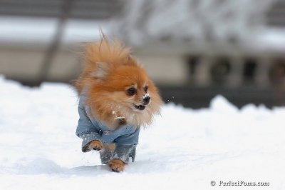 Feb3_08_277.jpg