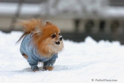 Feb3_08_278.jpg