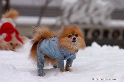 Feb3_08_279.jpg