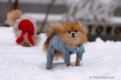 Feb3_08_281.jpg