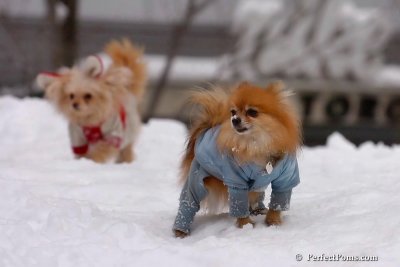 Feb3_08_282.jpg