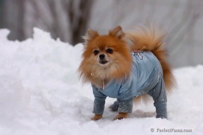 Feb3_08_309.jpg