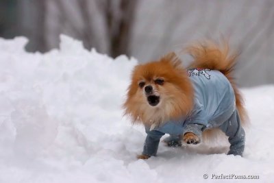 Feb3_08_310.jpg