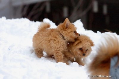 Feb3_08_314.jpg