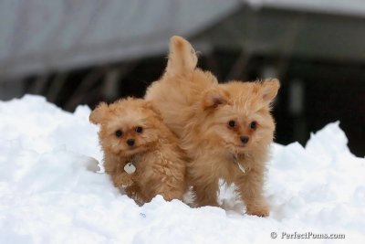 Feb3_08_316.jpg