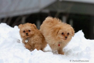 Feb3_08_317.jpg