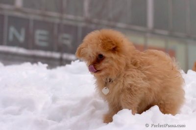 Feb3_08_319.jpg