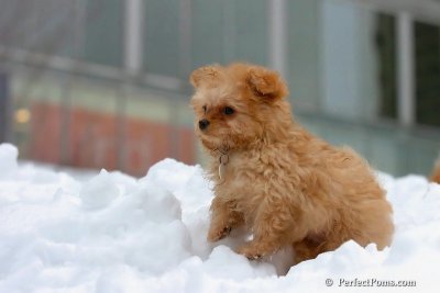 Feb3_08_326.jpg