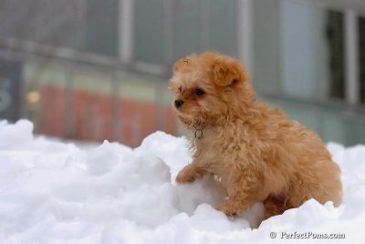 Feb3_08_327.jpg