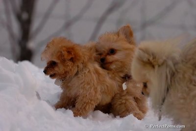 Feb3_08_052.jpg