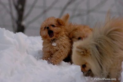 Feb3_08_054.jpg