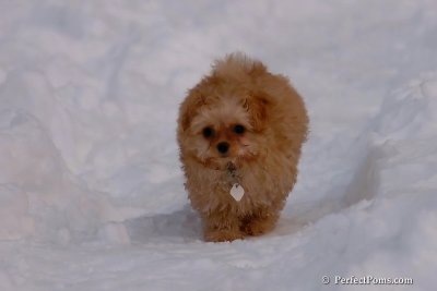 Feb3_08_057.jpg