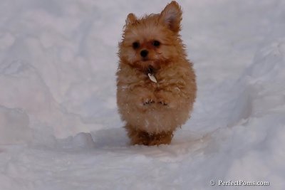 Feb3_08_058.jpg
