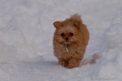 Feb3_08_059.jpg