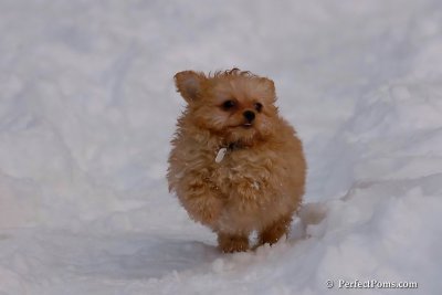Feb3_08_060.jpg