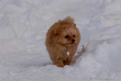 Feb3_08_061.jpg