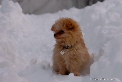 Feb3_08_062.jpg