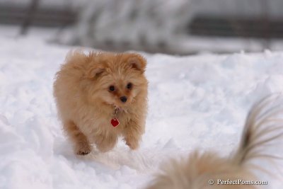 Feb3_08_067.jpg