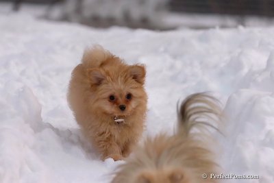 Feb3_08_068.jpg