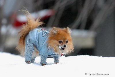 Feb3_08_070.jpg