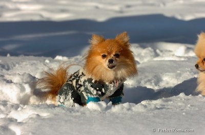 Feb7_08_524.JPG
