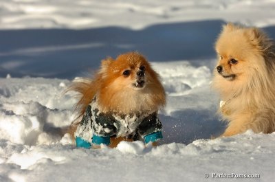 Feb7_08_526.JPG