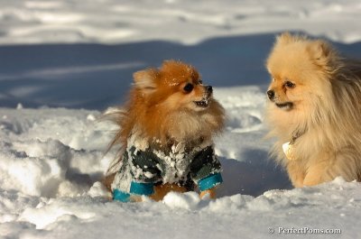 Feb7_08_527.JPG