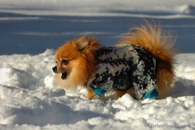 Feb7_08_529.jpg