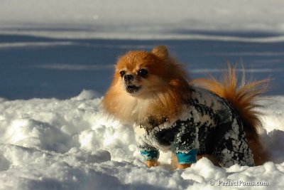 Feb7_08_530.jpg