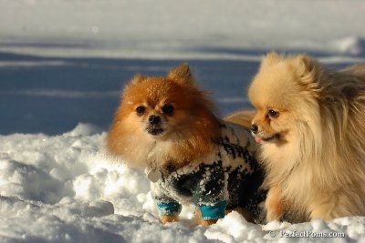 Feb7_08_531.jpg