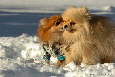 Feb7_08_533.jpg
