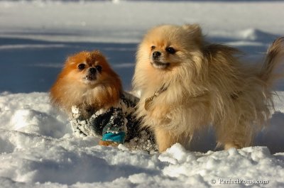Feb7_08_535.JPG