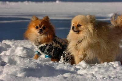 Feb7_08_536.JPG