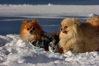 Feb7_08_537.JPG