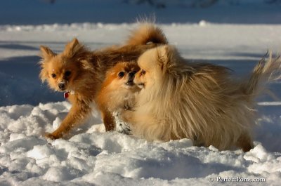 Feb7_08_538.JPG