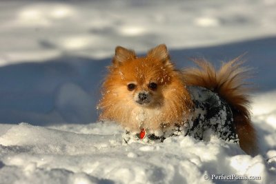 Feb7_08_539.jpg