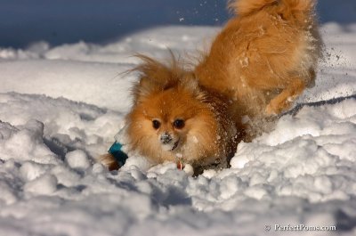Feb7_08_540.JPG