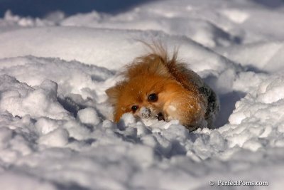 Feb7_08_541.jpg