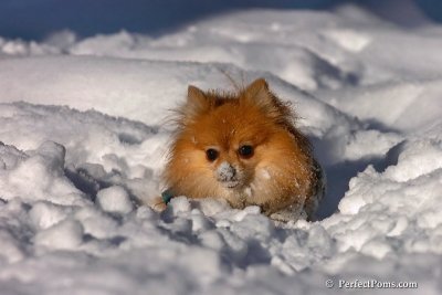 Feb7_08_542.jpg