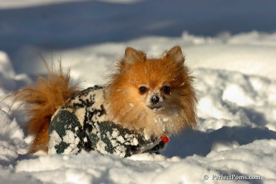 Feb7_08_543.jpg