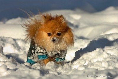 Feb7_08_549.jpg