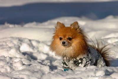 Feb7_08_550.jpg